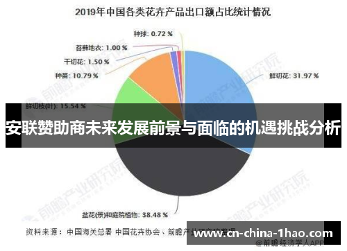 安联赞助商未来发展前景与面临的机遇挑战分析 安联赞助商未来发展前景与面临的机遇挑战分析
