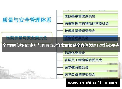 全面解析埃因青少年与阿贾青少年发展体系全方位关键五大核心要点