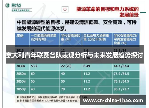 意大利青年联赛各队表现分析与未来发展趋势探讨 意大利青年联赛各队表现分析与未来发展趋势探讨